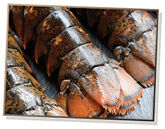 Picture of three raw lobster tails
